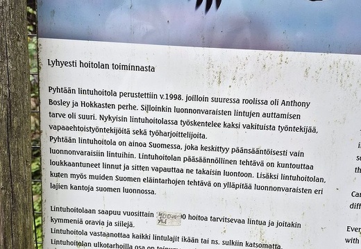 Kesäpäivät, Kotka