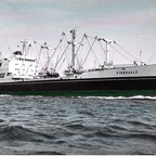 FINNEAGLE