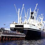 Maailman hienoin laiva