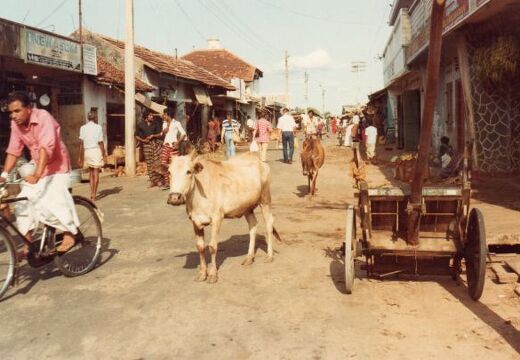 Trincomalee, Sri Lanka
