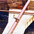 Amuay Bay, Venezuela