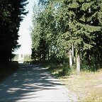 Metsätaipale