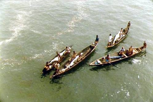 Nigerialaisia kanootteja